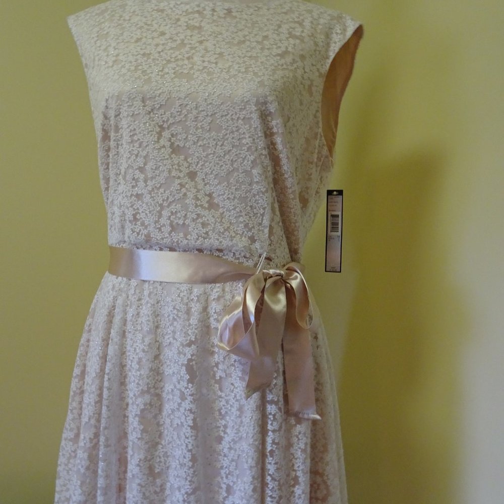 Ladies Size 14 Champagne Lace Dress-NEW - Picture 2 of 8